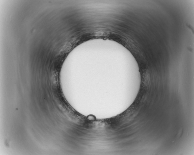 X0000101670272200807311504