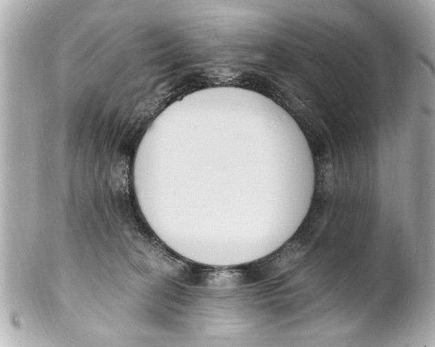 X0000101670274200807311504
