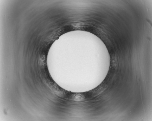 X0000101670275200807311504