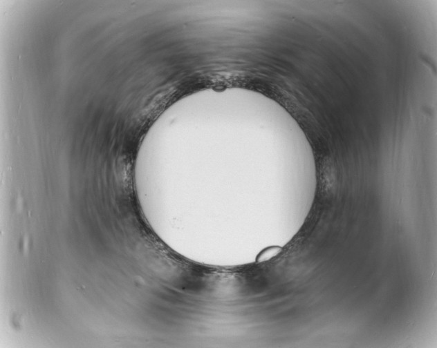 X0000101670276200807311504