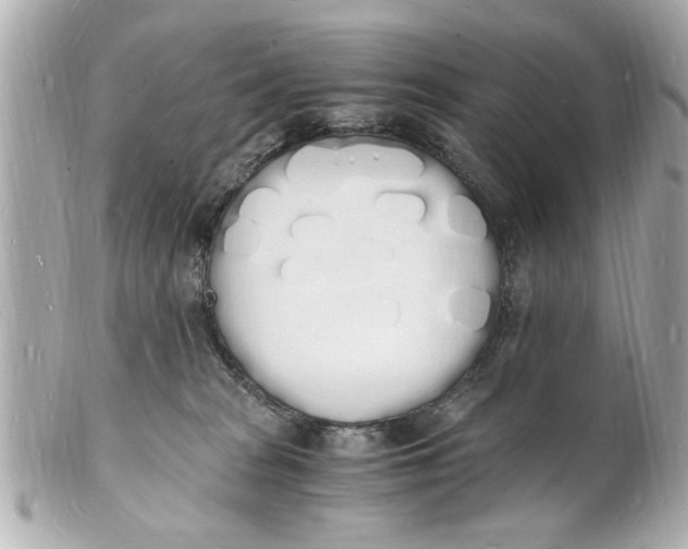 X0000101670277200807311504
