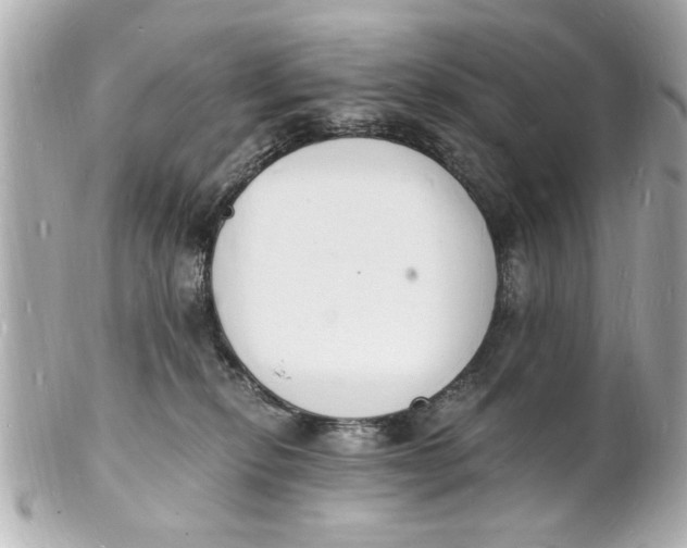 X0000101670278200807311504