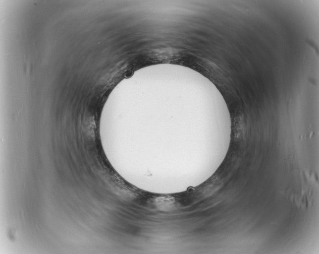 X0000101670279200807311504