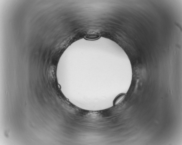 X0000101670280200807311504