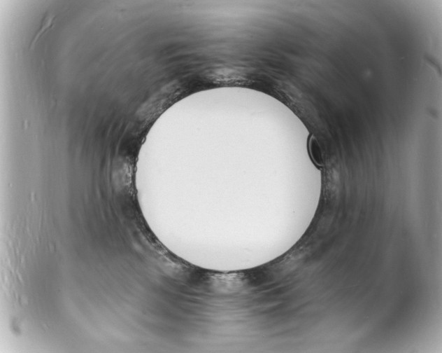 X0000101670281200807311504