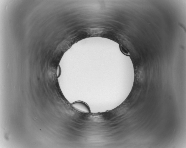 X0000101670283200807311504