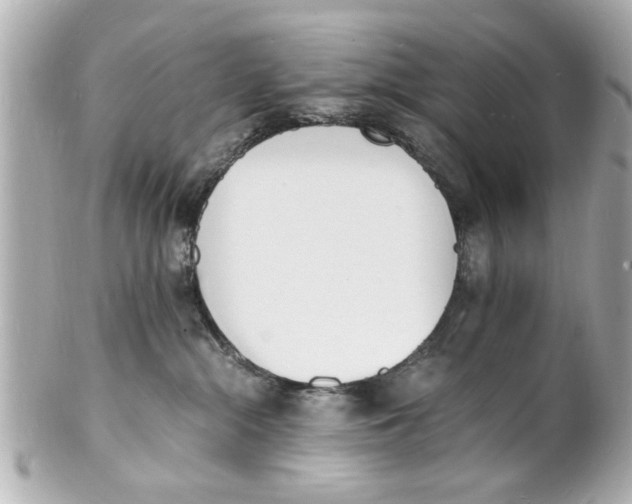 X0000101670284200807311504