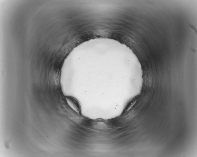 X0000101670285200807311504