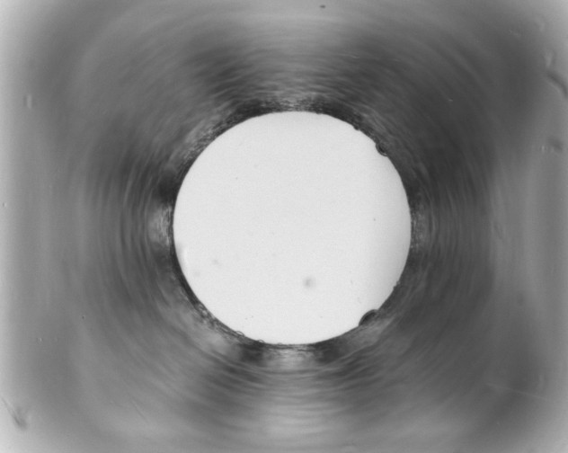 X0000101670286200807311504