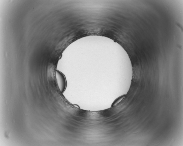 X0000101670287200807311504