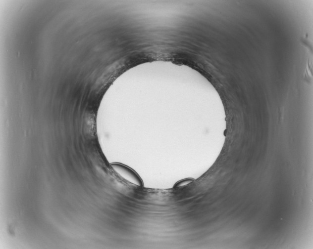 X0000101670288200807311504