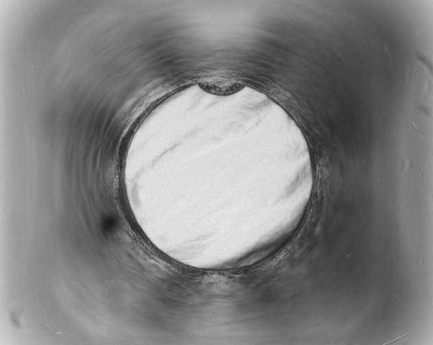 X0000101670290200807311503