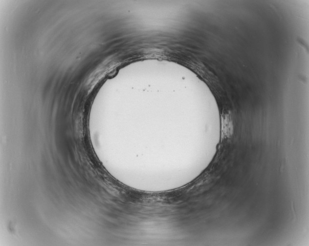 X0000101670291200807311503