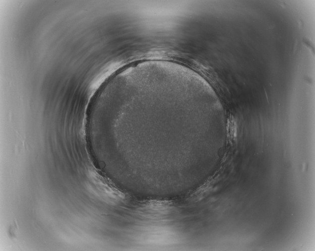 X0000101670292200807311503