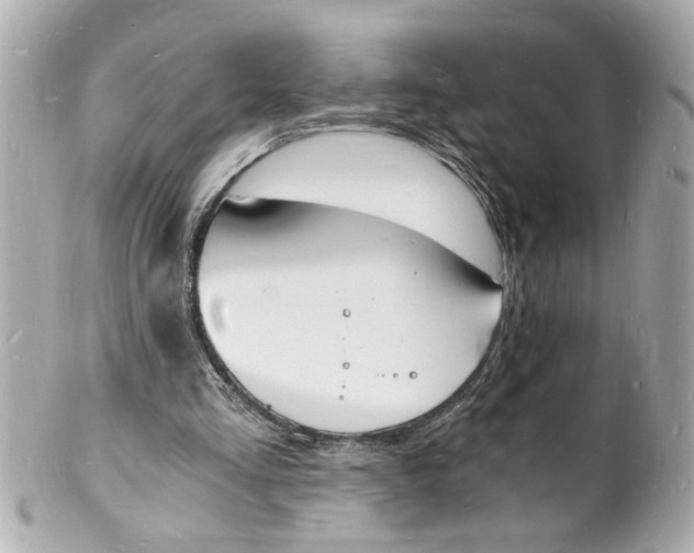 X0000101670293200807311503