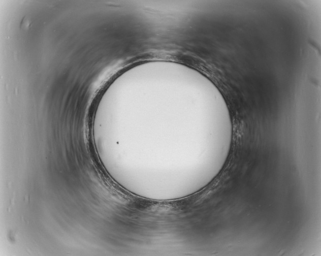 X0000101670294200807311503