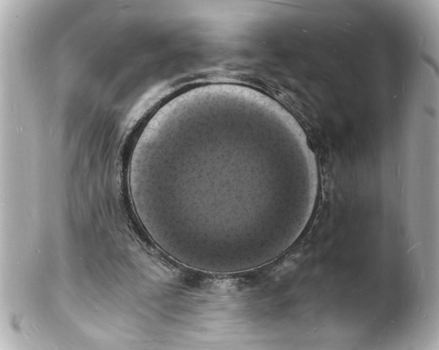 X0000101670295200807311503