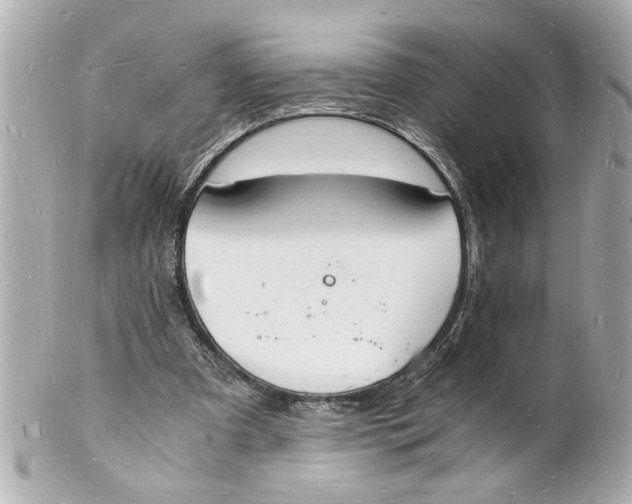 X0000101670297200807311503