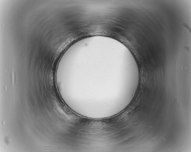 X0000101670298200807311503