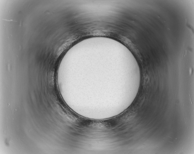 X0000101670299200807311503