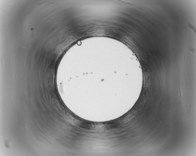 X0000101670301200807311503