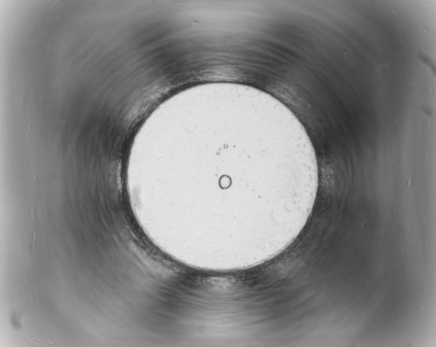 X0000101670302200807311503