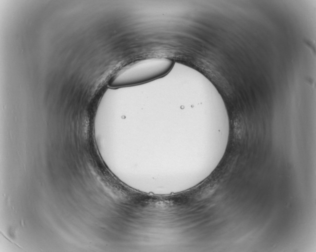 X0000101670304200807311503