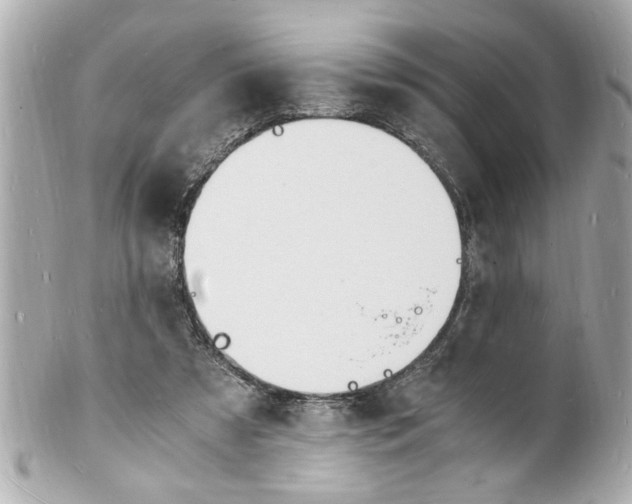 X0000101670305200807311503