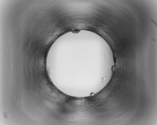 X0000101670306200807311503