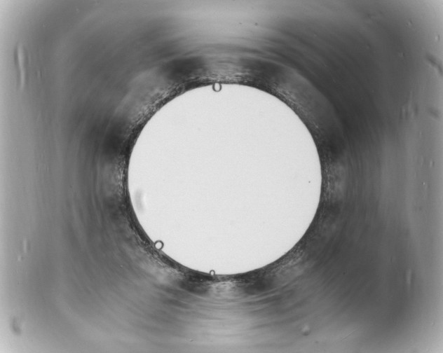 X0000101670309200807311503
