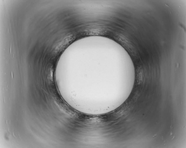 X0000101670310200807311503