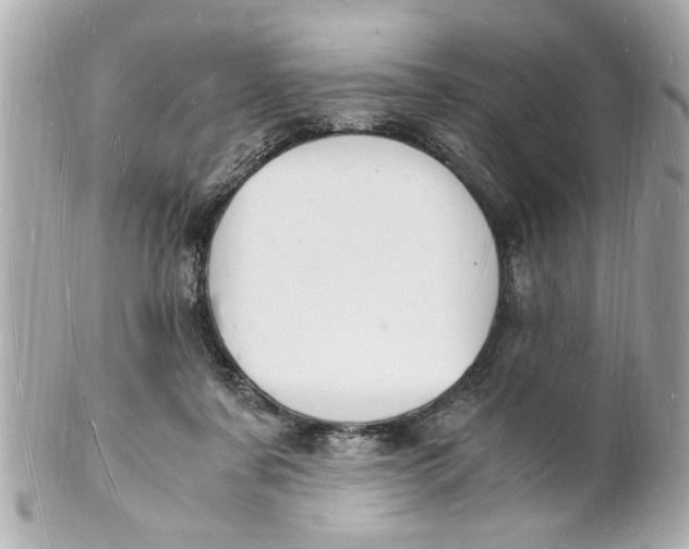 X0000101670311200807311503