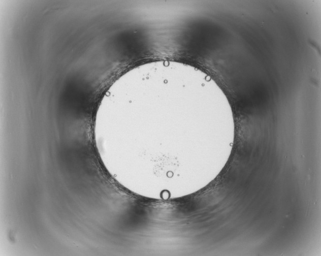 X0000101670313200807311503