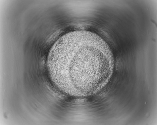 X0000101670314200807311503