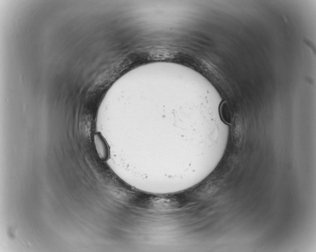 X0000101670315200807311503