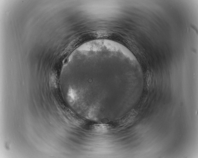 X0000101670316200807311503