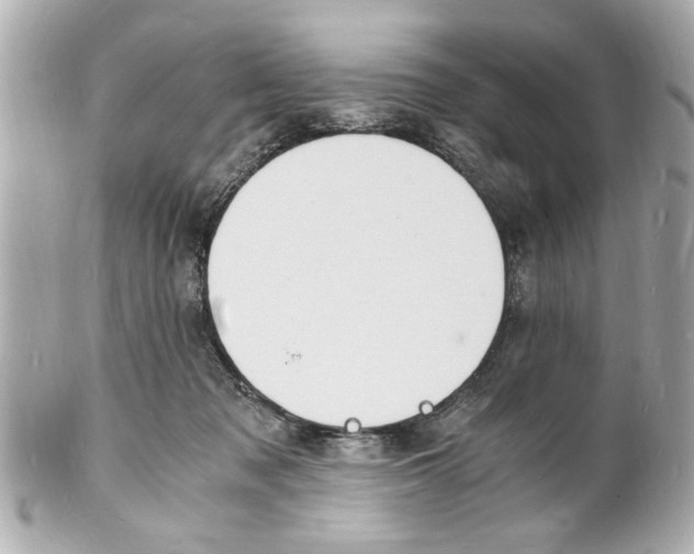 X0000101670317200807311503