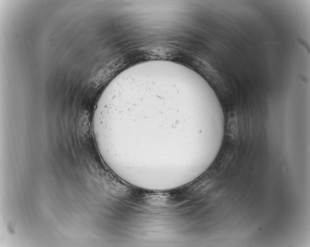 X0000101670318200807311503