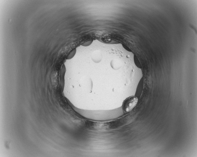X0000101670319200807311503