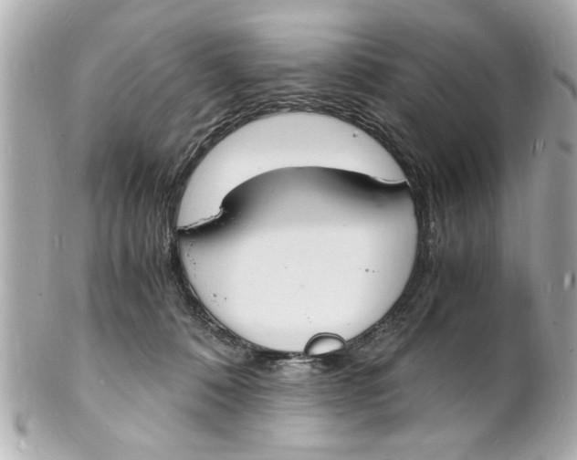 X0000101670320200807311503