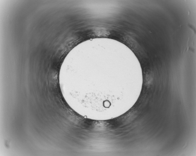 X0000101670321200807311503