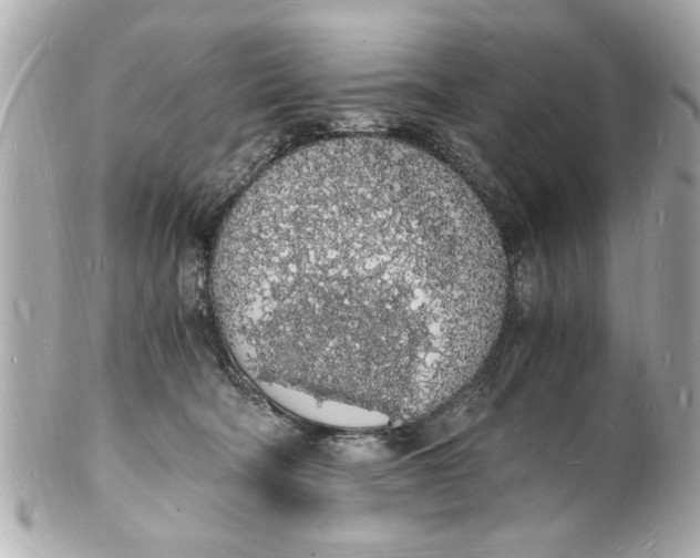 X0000101670322200807311503