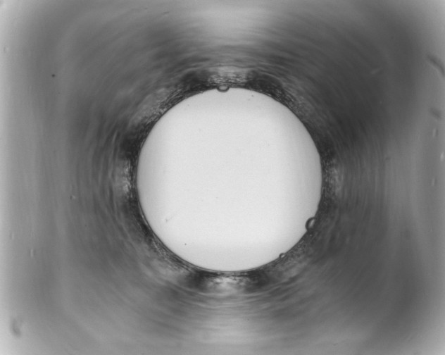 X0000101670323200807311503