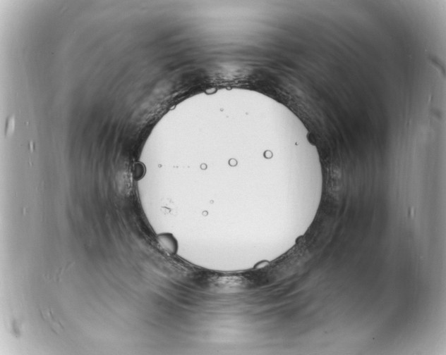X0000101670324200807311503