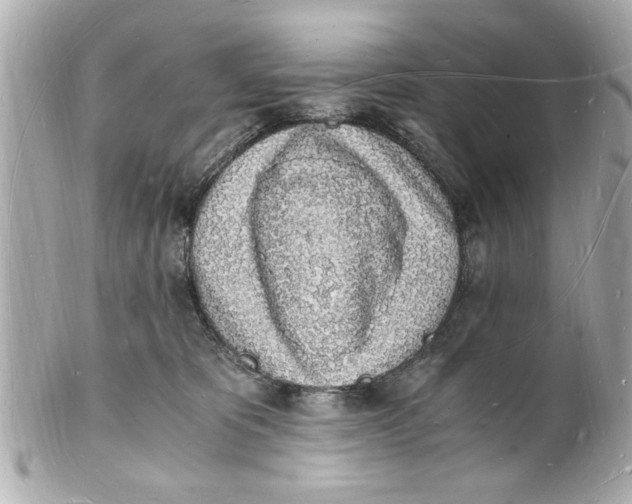 X0000101670325200807311503