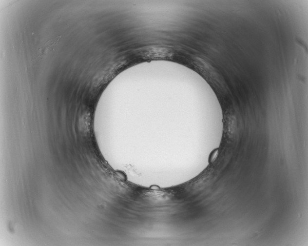X0000101670326200807311503