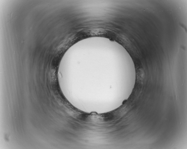 X0000101670327200807311503