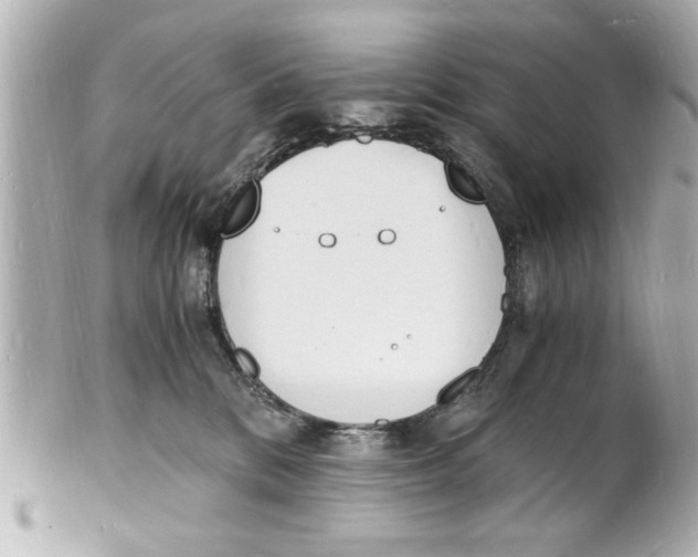 X0000101670328200807311503