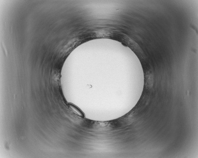X0000101670329200807311503
