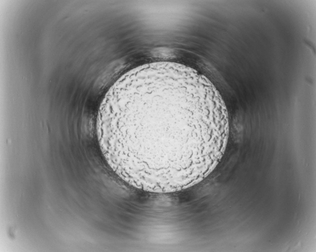 X0000101670330200807311503